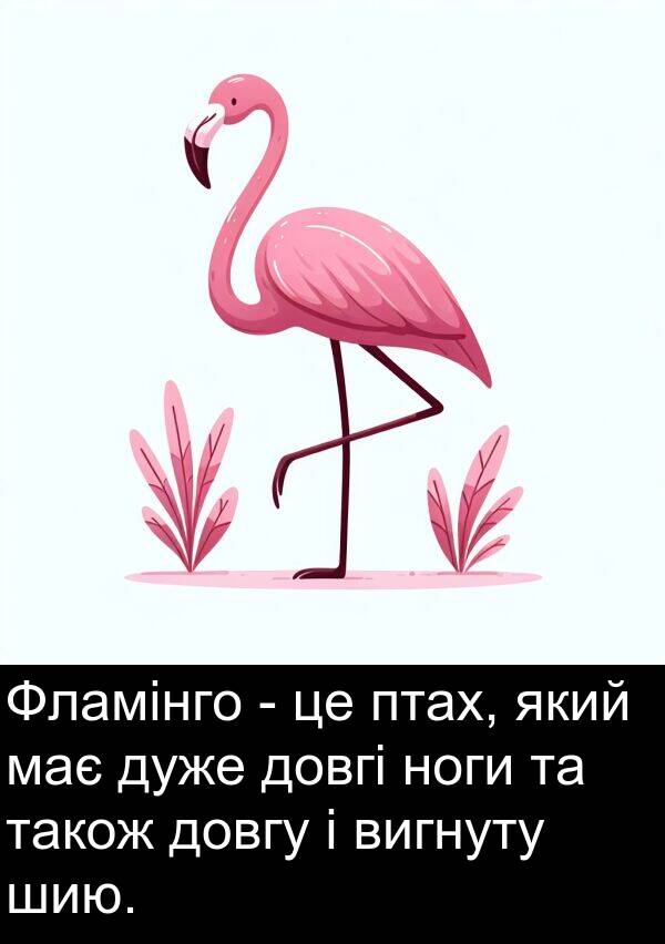 птах: Фламінго - це птах, який має дуже довгі ноги та також довгу і вигнуту шию.