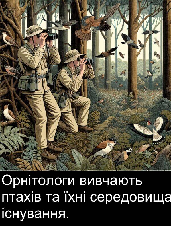 їхні: Орнітологи вивчають птахів та їхні середовища існування.