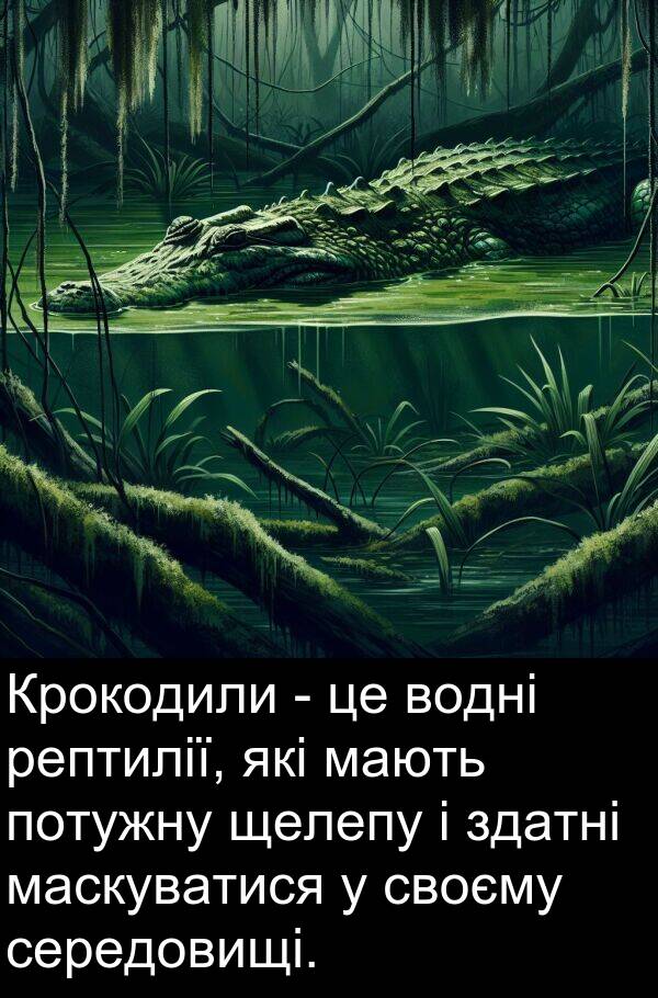 щелепу: Крокодили - це водні рептилії, які мають потужну щелепу і здатні маскуватися у своєму середовищі.