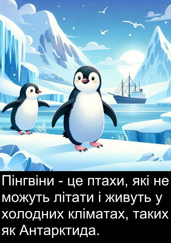 холодних: Пінгвіни - це птахи, які не можуть літати і живуть у холодних кліматах, таких як Антарктида.