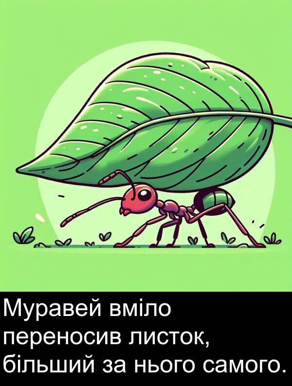 самого: Муравей вміло переносив листок, більший за нього самого.