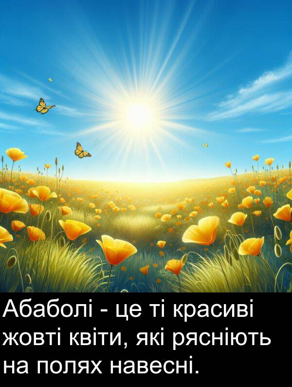 квіти: Абаболі - це ті красиві жовті квіти, які рясніють на полях навесні.