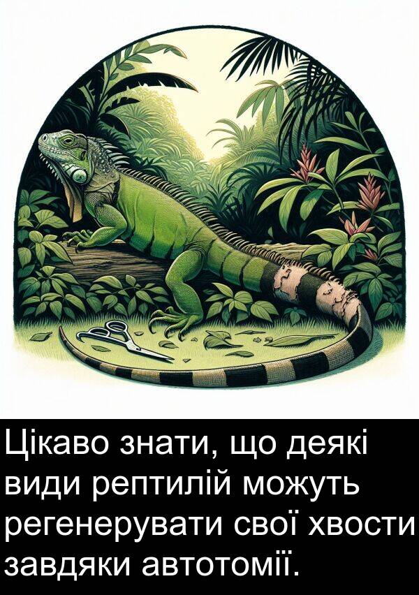 автотомії: Цікаво знати, що деякі види рептилій можуть регенерувати свої хвости завдяки автотомії.