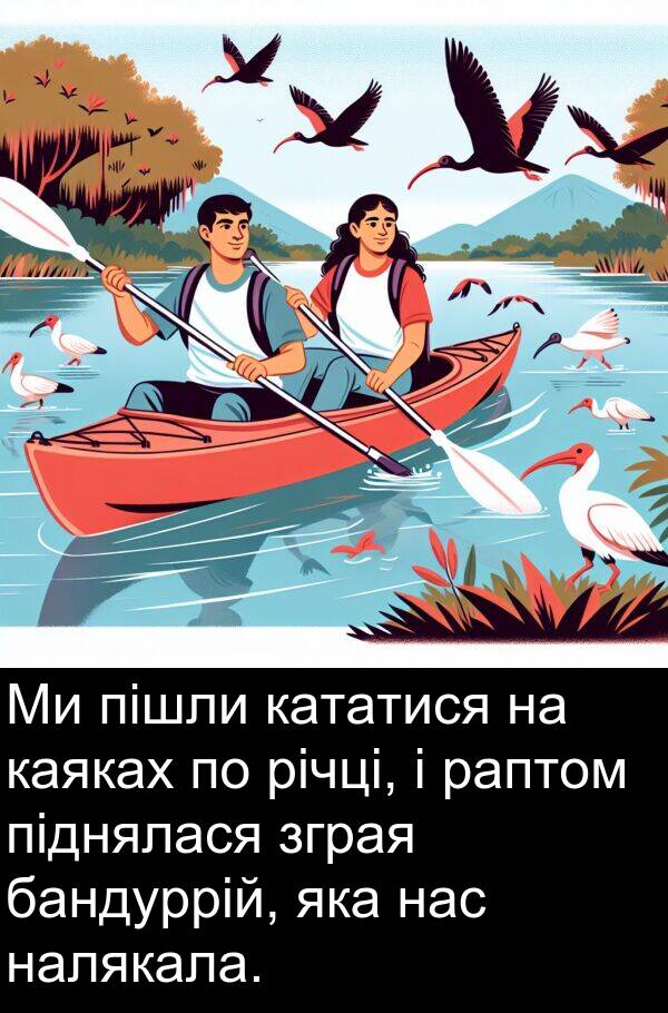 каяках: Ми пішли кататися на каяках по річці, і раптом піднялася зграя бандуррій, яка нас налякала.
