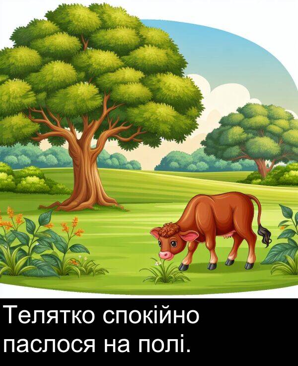 паслося: Телятко спокійно паслося на полі.