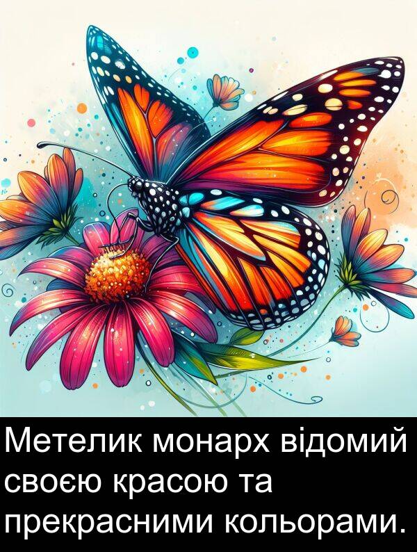 своєю: Метелик монарх відомий своєю красою та прекрасними кольорами.