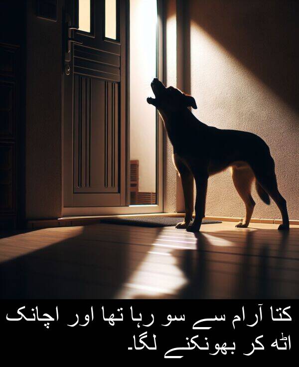 تھا: کتا آرام سے سو رہا تھا اور اچانک اٹھ کر بھونکنے لگا۔