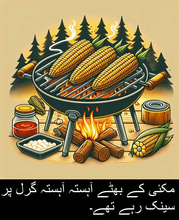 سینک: مکئی کے بھٹے آہستہ آہستہ گرل پر سینک رہے تھے۔