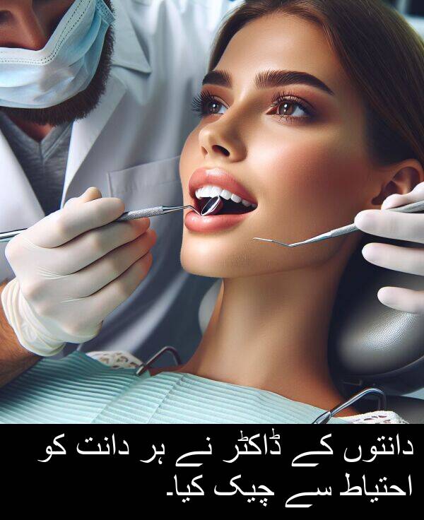 ڈاکٹر: دانتوں کے ڈاکٹر نے ہر دانت کو احتیاط سے چیک کیا۔