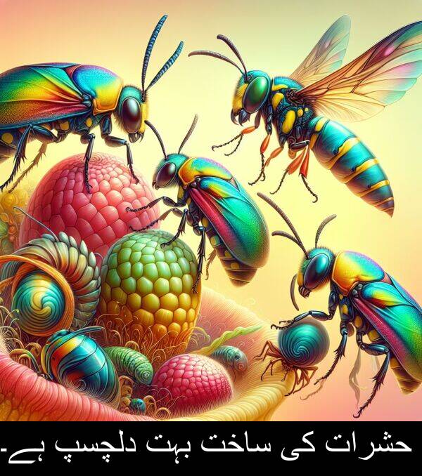 بہت: حشرات کی ساخت بہت دلچسپ ہے۔
