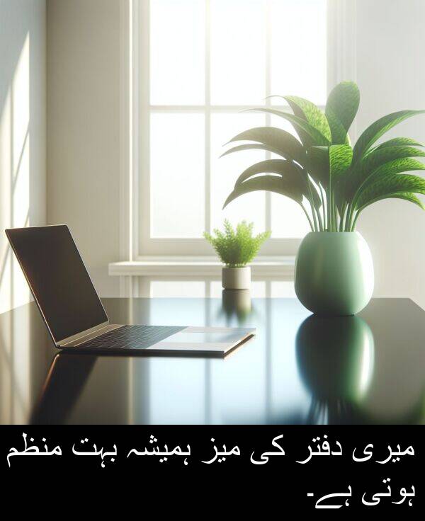 میری: میری دفتر کی میز ہمیشہ بہت منظم ہوتی ہے۔