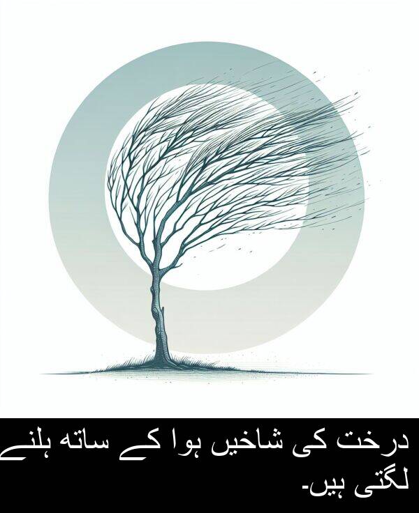 شاخیں: درخت کی شاخیں ہوا کے ساتھ ہلنے لگتی ہیں۔
