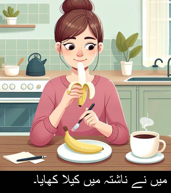 کیلا: میں نے ناشتہ میں کیلا کھایا۔