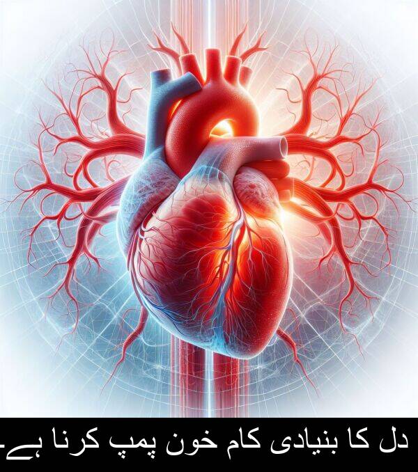 کرنا: دل کا بنیادی کام خون پمپ کرنا ہے۔