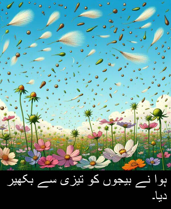 بکھیر: ہوا نے بیجوں کو تیزی سے بکھیر دیا۔
