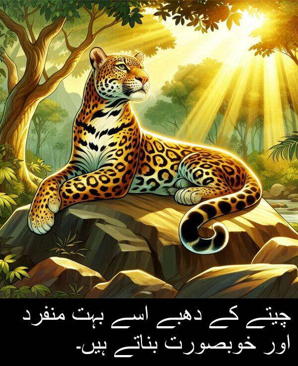 اسے: چیتے کے دھبے اسے بہت منفرد اور خوبصورت بناتے ہیں۔