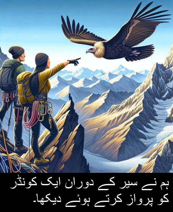 کرتے: ہم نے سیر کے دوران ایک کونڈر کو پرواز کرتے ہوئے دیکھا۔