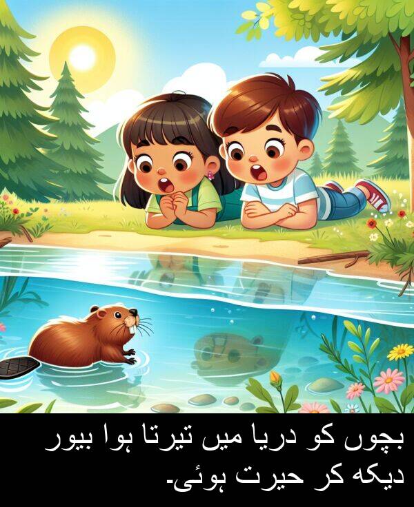 بچوں: بچوں کو دریا میں تیرتا ہوا بیور دیکھ کر حیرت ہوئی۔