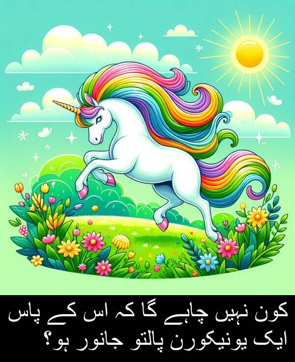 چاہے: کون نہیں چاہے گا کہ اس کے پاس ایک یونیکورن پالتو جانور ہو؟