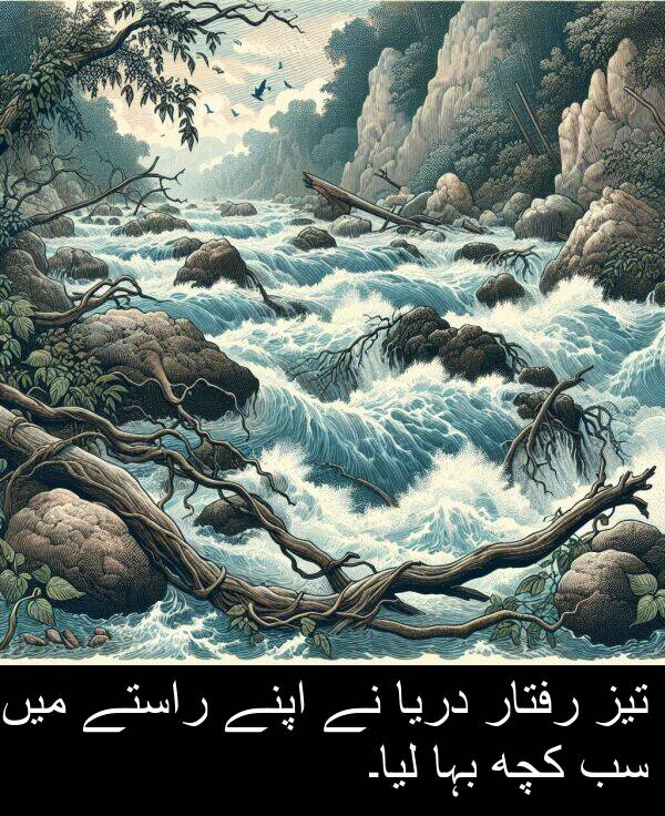 بہا: تیز رفتار دریا نے اپنے راستے میں سب کچھ بہا لیا۔