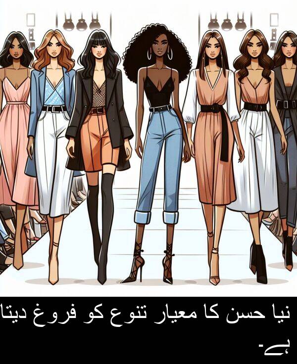 معیار: نیا حسن کا معیار تنوع کو فروغ دیتا ہے۔