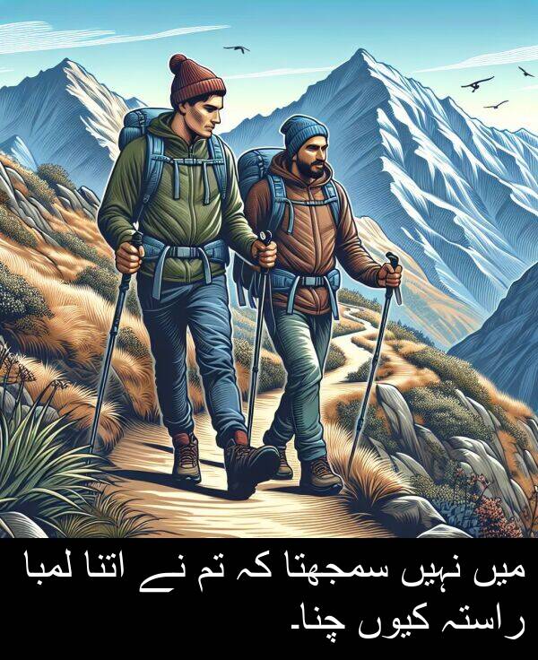 کیوں: میں نہیں سمجھتا کہ تم نے اتنا لمبا راستہ کیوں چنا۔