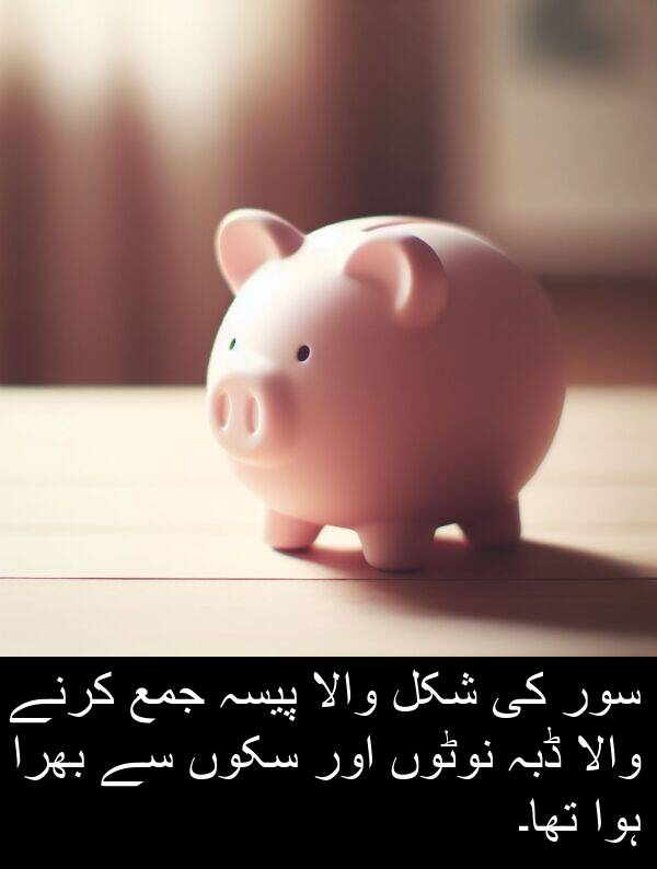 شکل: سور کی شکل والا پیسہ جمع کرنے والا ڈبہ نوٹوں اور سکوں سے بھرا ہوا تھا۔