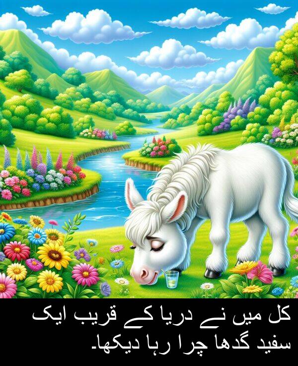 قریب: کل میں نے دریا کے قریب ایک سفید گدھا چرا رہا دیکھا۔
