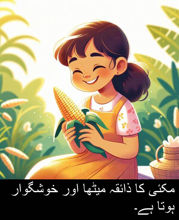 میٹھا: مکئی کا ذائقہ میٹھا اور خوشگوار ہوتا ہے۔