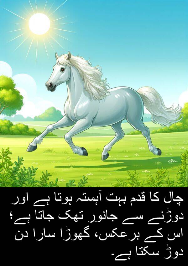تھک: چال کا قدم بہت آہستہ ہوتا ہے اور دوڑنے سے جانور تھک جاتا ہے؛ اس کے برعکس، گھوڑا سارا دن دوڑ سکتا ہے۔