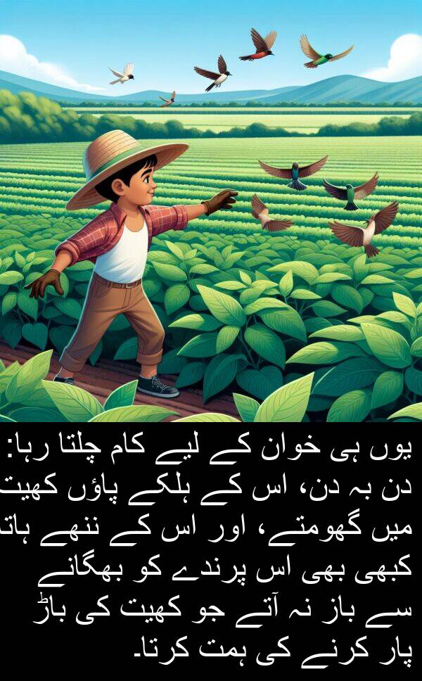 ہلکے: یوں ہی خوان کے لیے کام چلتا رہا: دن بہ دن، اس کے ہلکے پاؤں کھیت میں گھومتے، اور اس کے ننھے ہاتھ کبھی بھی اس پرندے کو بھگانے سے باز نہ آتے جو کھیت کی باڑ پار کرنے کی ہمت کرتا۔