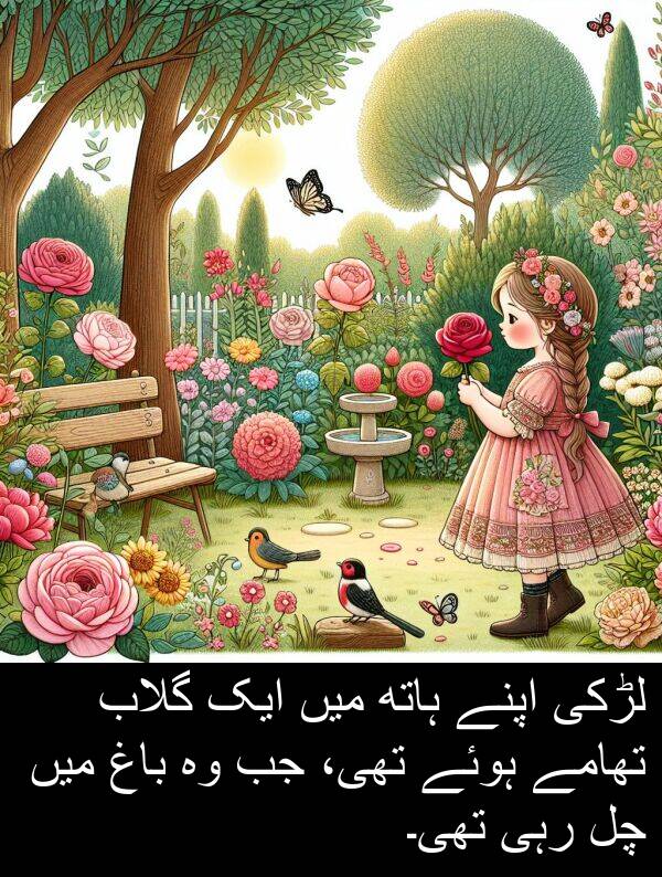 ہاتھ: لڑکی اپنے ہاتھ میں ایک گلاب تھامے ہوئے تھی، جب وہ باغ میں چل رہی تھی۔