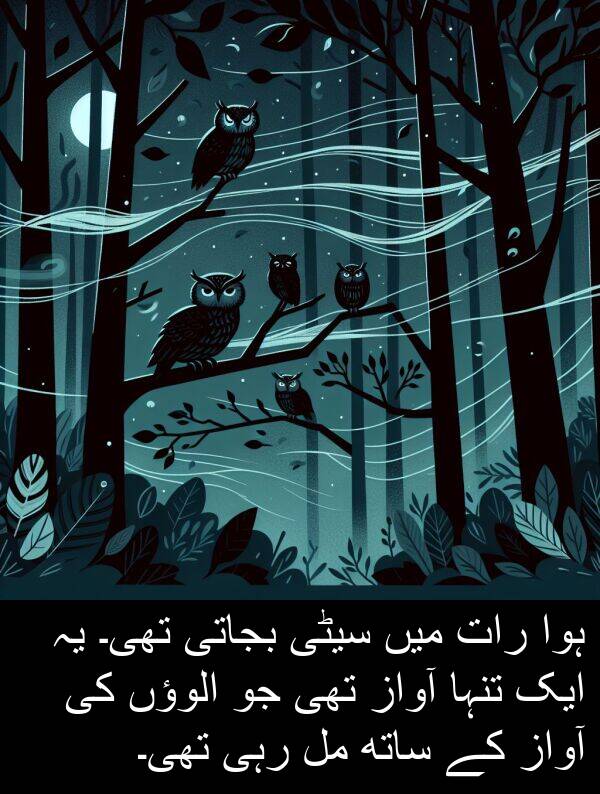 سیٹی: ہوا رات میں سیٹی بجاتی تھی۔ یہ ایک تنہا آواز تھی جو الوؤں کی آواز کے ساتھ مل رہی تھی۔