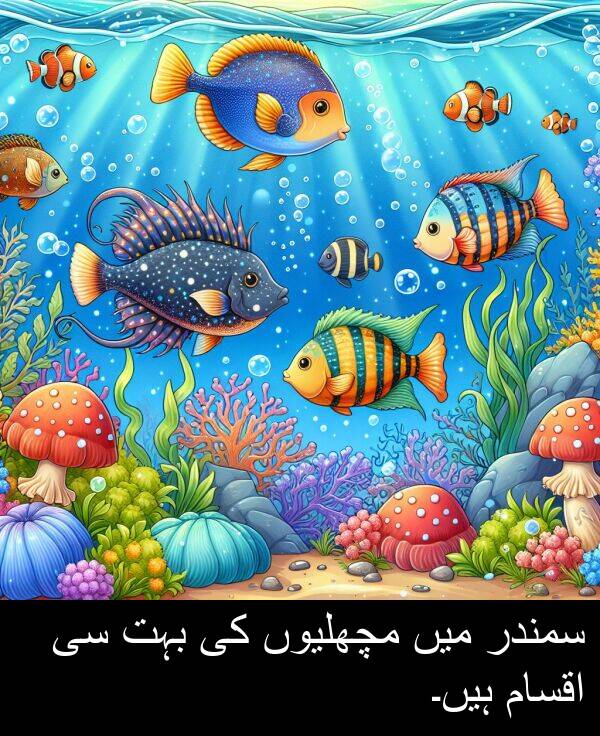 مچھلیوں: سمندر میں مچھلیوں کی بہت سی اقسام ہیں۔