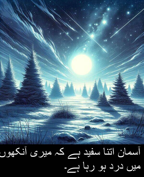 میری: آسمان اتنا سفید ہے کہ میری آنکھوں میں درد ہو رہا ہے۔