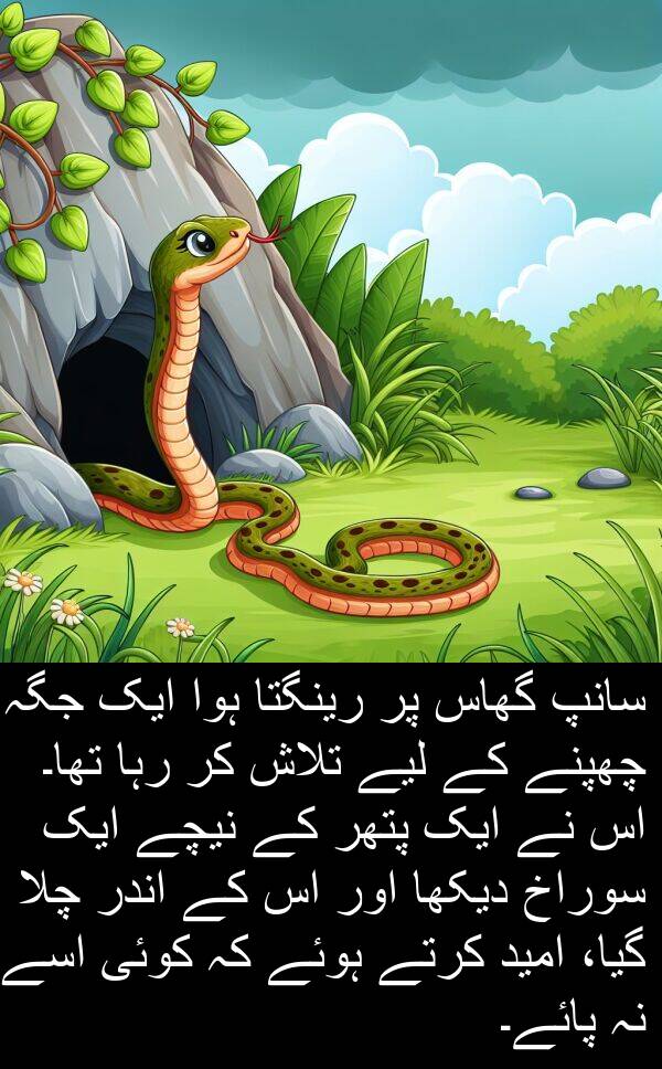 گھاس: سانپ گھاس پر رینگتا ہوا ایک جگہ چھپنے کے لیے تلاش کر رہا تھا۔ اس نے ایک پتھر کے نیچے ایک سوراخ دیکھا اور اس کے اندر چلا گیا، امید کرتے ہوئے کہ کوئی اسے نہ پائے۔