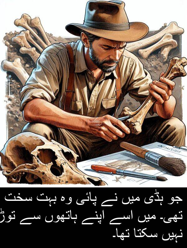 ہڈی: جو ہڈی میں نے پائی وہ بہت سخت تھی۔ میں اسے اپنے ہاتھوں سے توڑ نہیں سکتا تھا۔