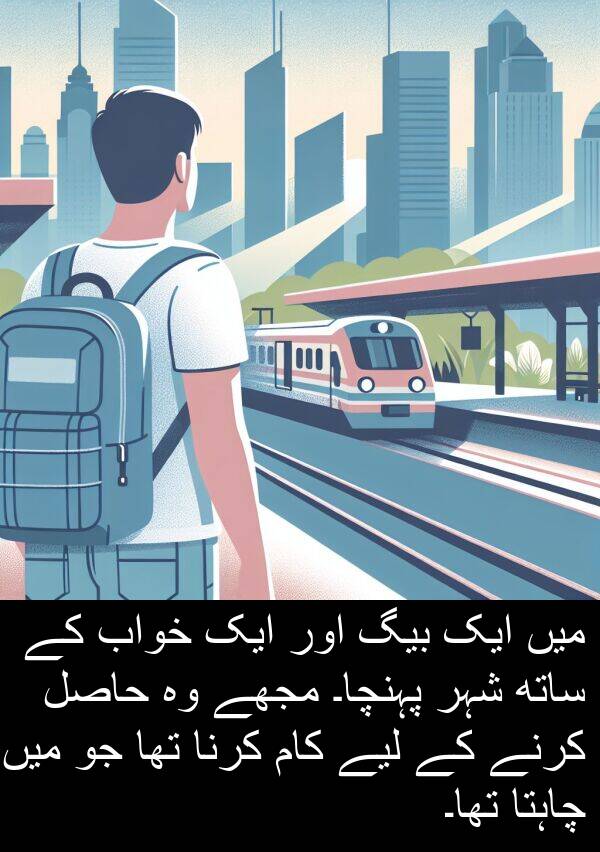 بیگ: میں ایک بیگ اور ایک خواب کے ساتھ شہر پہنچا۔ مجھے وہ حاصل کرنے کے لیے کام کرنا تھا جو میں چاہتا تھا۔