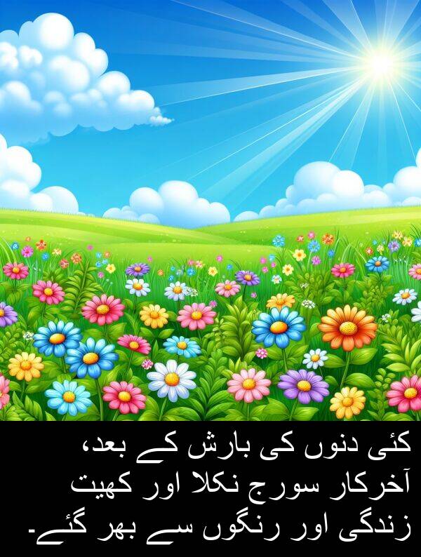 نکلا: کئی دنوں کی بارش کے بعد، آخرکار سورج نکلا اور کھیت زندگی اور رنگوں سے بھر گئے۔