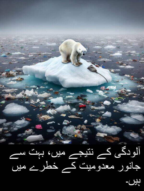 خطرے: آلودگی کے نتیجے میں، بہت سے جانور معدومیت کے خطرے میں ہیں۔
