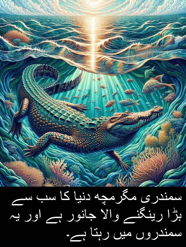 بڑا: سمندری مگرمچھ دنیا کا سب سے بڑا رینگنے والا جانور ہے اور یہ سمندروں میں رہتا ہے۔