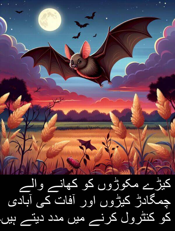 چمگادڑ: کیڑے مکوڑوں کو کھانے والے چمگادڑ کیڑوں اور آفات کی آبادی کو کنٹرول کرنے میں مدد دیتے ہیں۔