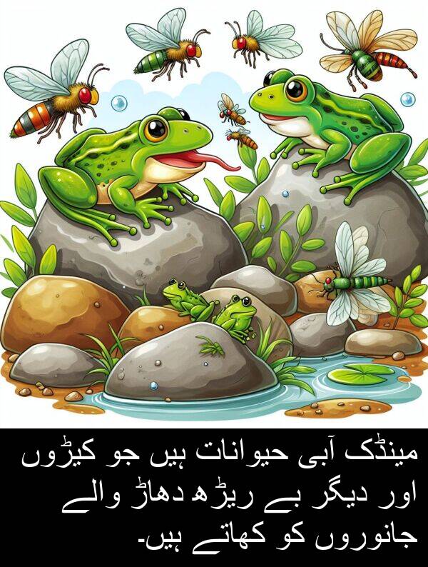 کیڑوں: مینڈک آبی حیوانات ہیں جو کیڑوں اور دیگر بے ریڑھ دھاڑ والے جانوروں کو کھاتے ہیں۔