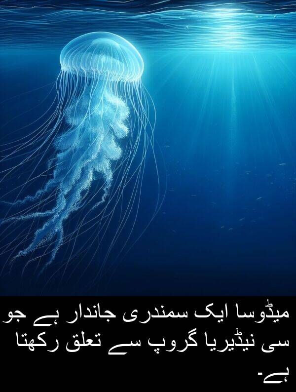 جاندار: میڈوسا ایک سمندری جاندار ہے جو سی نیڈیریا گروپ سے تعلق رکھتا ہے۔