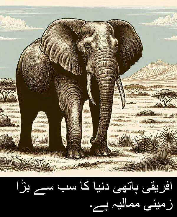 بڑا: افریقی ہاتھی دنیا کا سب سے بڑا زمینی ممالیہ ہے۔