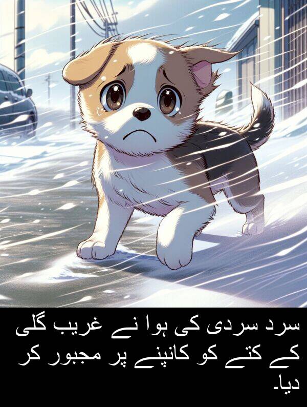 کانپنے: سرد سردی کی ہوا نے غریب گلی کے کتے کو کانپنے پر مجبور کر دیا۔