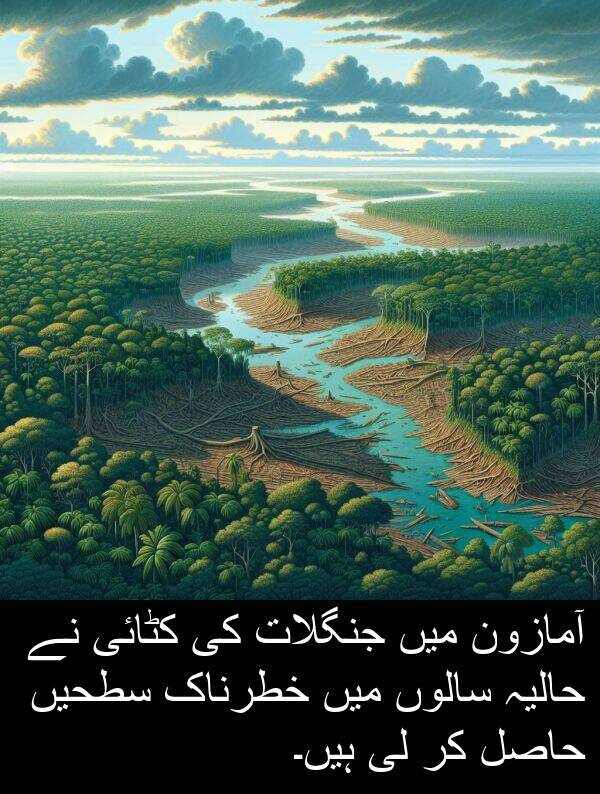 حاصل: آمازون میں جنگلات کی کٹائی نے حالیہ سالوں میں خطرناک سطحیں حاصل کر لی ہیں۔