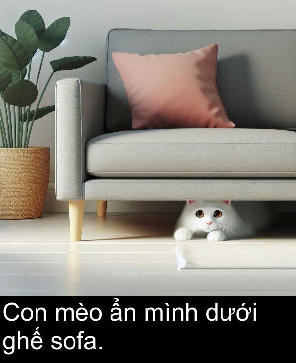ghế: Con mèo ẩn mình dưới ghế sofa.