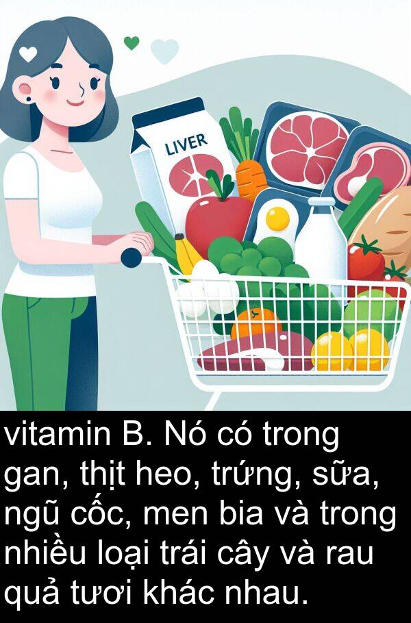 bia: vitamin B. Nó có trong gan, thịt heo, trứng, sữa, ngũ cốc, men bia và trong nhiều loại trái cây và rau quả tươi khác nhau.