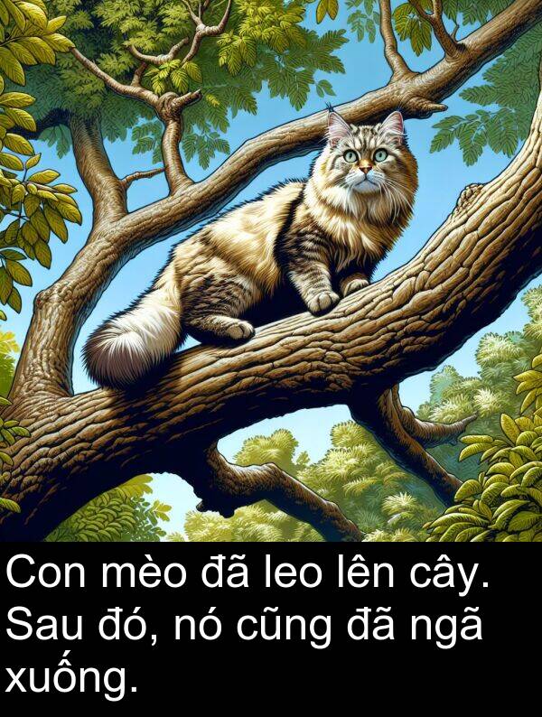 đó: Con mèo đã leo lên cây. Sau đó, nó cũng đã ngã xuống.